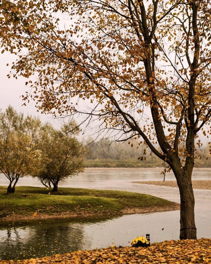 Drinska Laguna Banja Koviljača Екстериор снимка