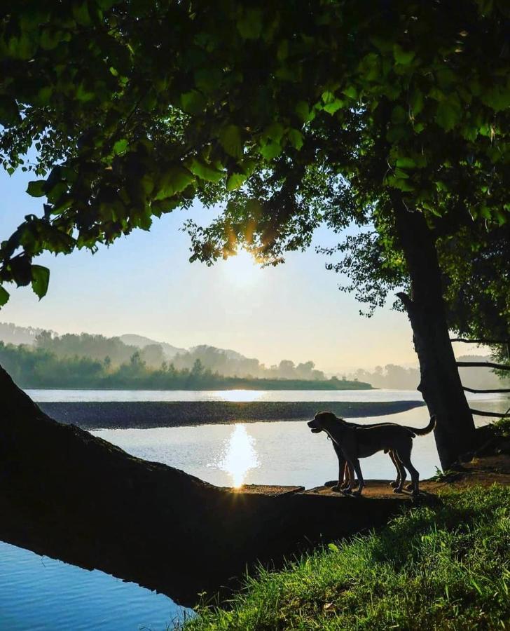 Drinska Laguna Banja Koviljača Екстериор снимка